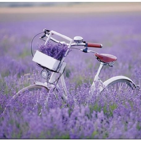 Ambiente Bike In Lavender Field papírszalvéta - 33x33 cm - 20 db-os
