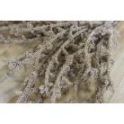 Arany korall ág - 35 cm