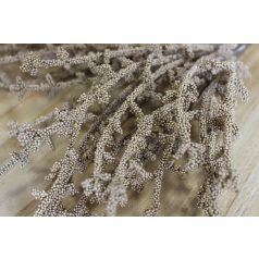 Arany korall ág - 35 cm