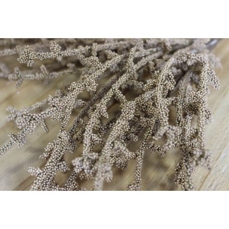 Arany korall ág - 35 cm