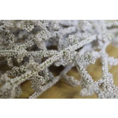Halványszürke korall ág - 35 cm