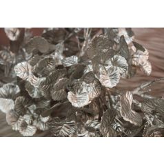 Pezsgő színű pittosporum gally - 60 cm 