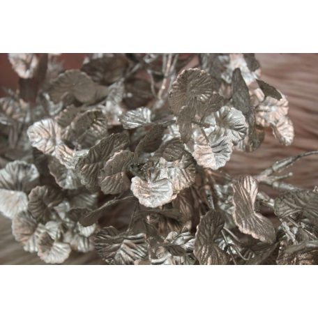 Pezsgő színű pittosporum gally - 60 cm 