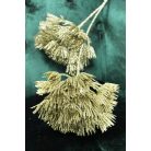 Arany díszhagyma (allium) virág - 2 db 65 cm