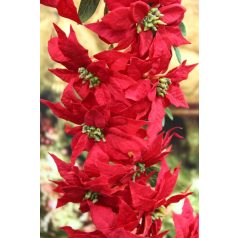 Piros mikulásvirág girland - 160 cm