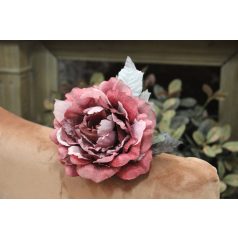 Ciklámen bársonyrózsa csillám nélkül - 14 cm