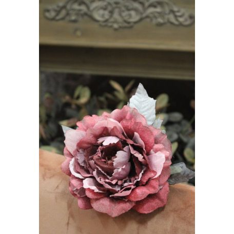 Ciklámen bársonyrózsa csillám nélkül - 14 cm