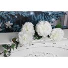 Fehér havas bazsarózsa ágon - 115 cm