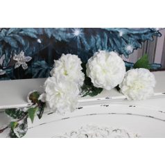 Fehér havas bazsarózsa ágon - 115 cm