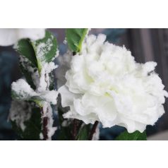 Fehér havas bazsarózsa ágon - 115 cm