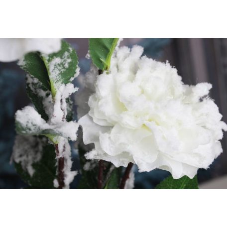Fehér havas bazsarózsa ágon - 115 cm