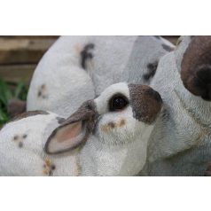 Barna és fehér színű nyúlcsalád - 29 cm