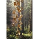 Barna kúszó ág - 87 cm