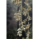 Pezsgő színű kúszó ág - 87 cm