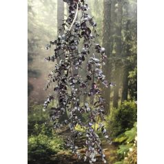 Kék kúszó ág - La Luna - 120 cm