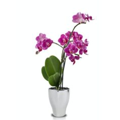 Orchidea kaspó - Moon - Ezüst - 14x18 cm - Raktáron 