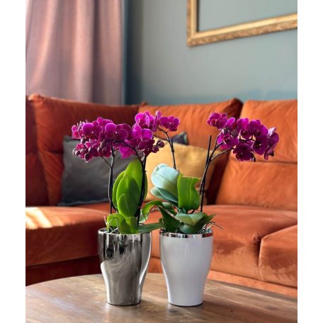 Orchidea kaspó - Moon - Ezüst - 14x18 cm - Raktáron 