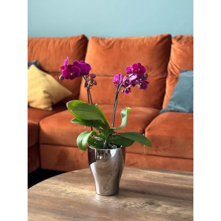 Orchidea kaspó - Moon - Ezüst - 14x18 cm - Raktáron 