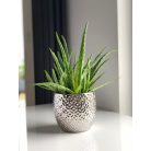 Kerámia kaspó - Moon - Ezüst - 15x12 cm  