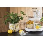Kerámia kaspó citromos - 23x10x9 cm - Raktáron