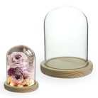 Üvegbúra fa talppal - 11x16 cm