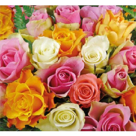 Ambiente Colourful Roses papírszalvéta 25x25cm - 20db-os