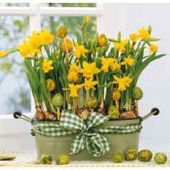 Ambiente Daffodils papírszalvéta 25x25cm - 20db-os