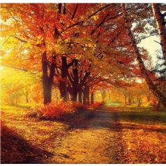 Ambiente Autumn Park papírszalvéta 33x33cm - 20db-os