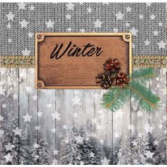 Ambiente Winter papírszalvéta 33x33 cm - 20 db-os