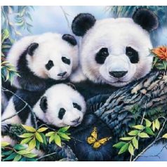 Ambiente Panda papírszalvéta 25x25cm - 20db-os