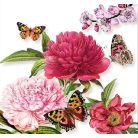 Ambiente műanyag kistálca - Peonien White - 13x21cm