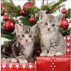 Ambiente  Christmas Kitten papírszalvéta 33x33cm - 20db-os