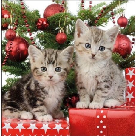 Ambiente  Christmas Kitten papírszalvéta 33x33cm - 20db-os